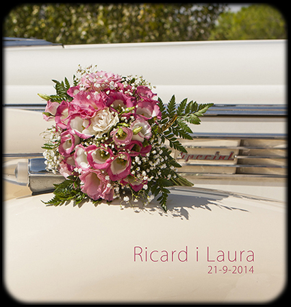 Laura i Ricard