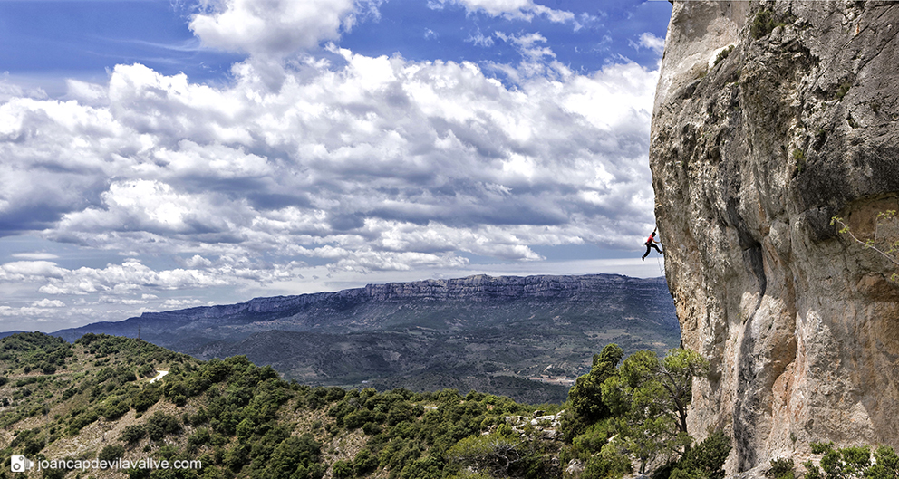 Escalada
Arbolí
Serra de Prades