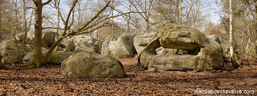 Fontainebleau