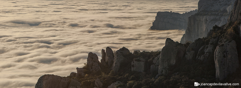 Boires a la Serra del Montsant