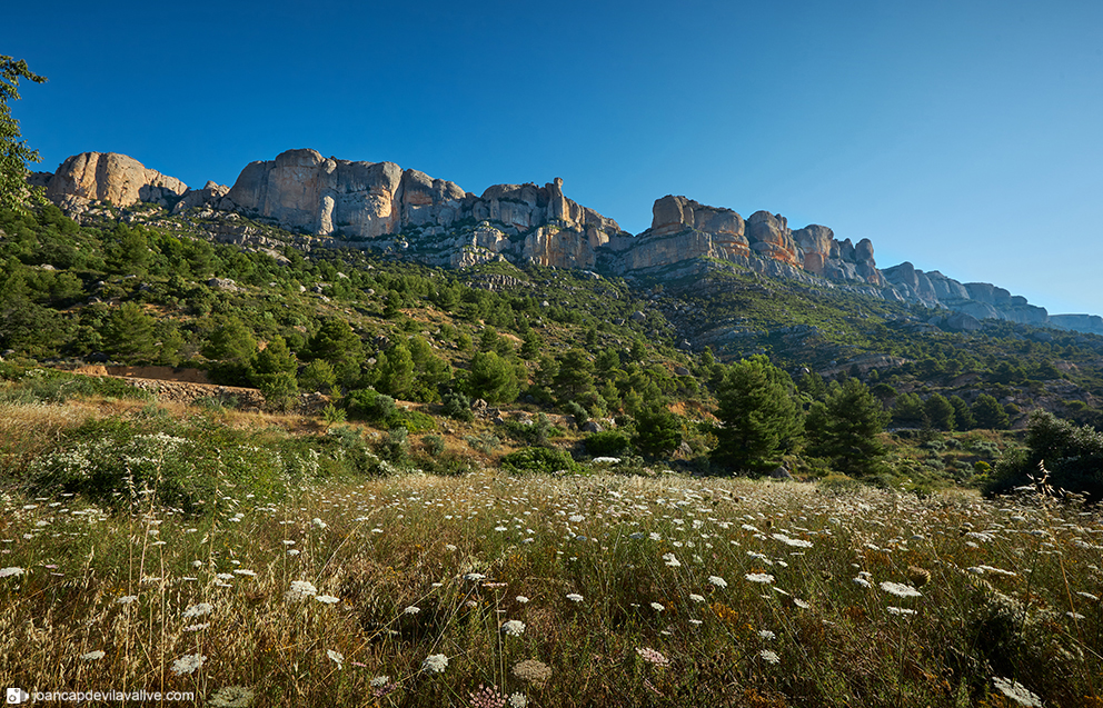 Serra de Montsant