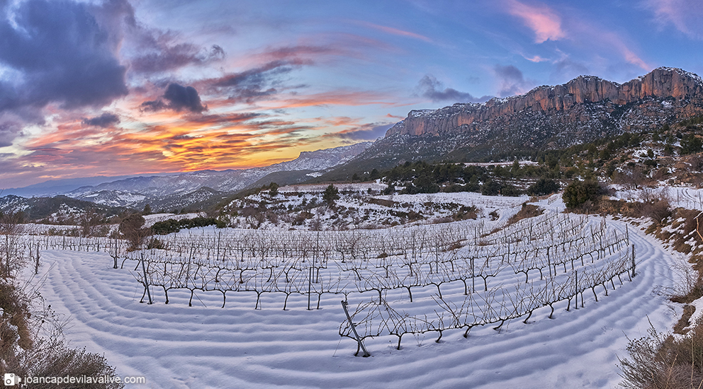 Vinyes a la Morera de Montsant
Nevades 2021