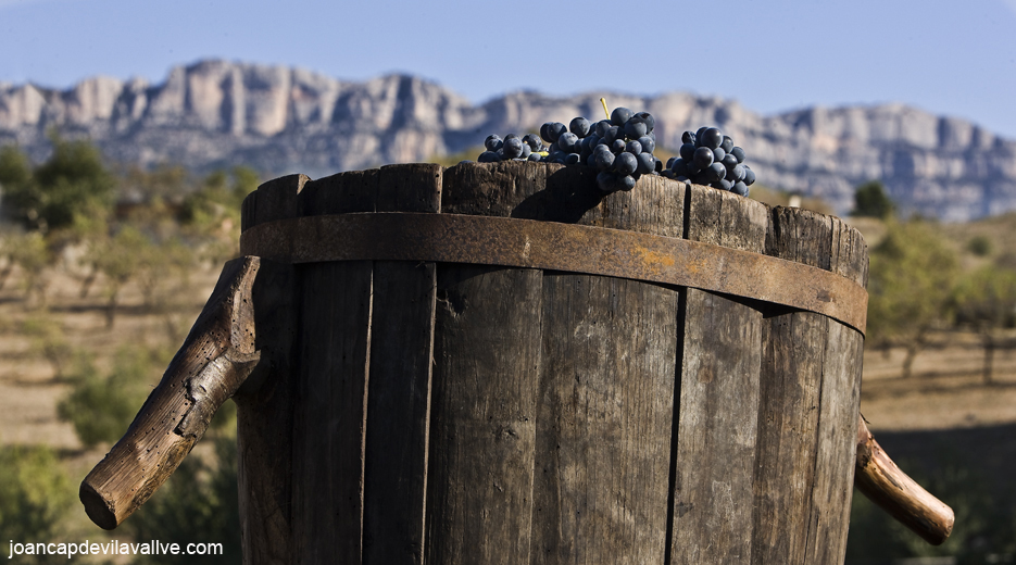 Festa de la Verema a l´antiga, Poboleda, Priorat i el Montsant