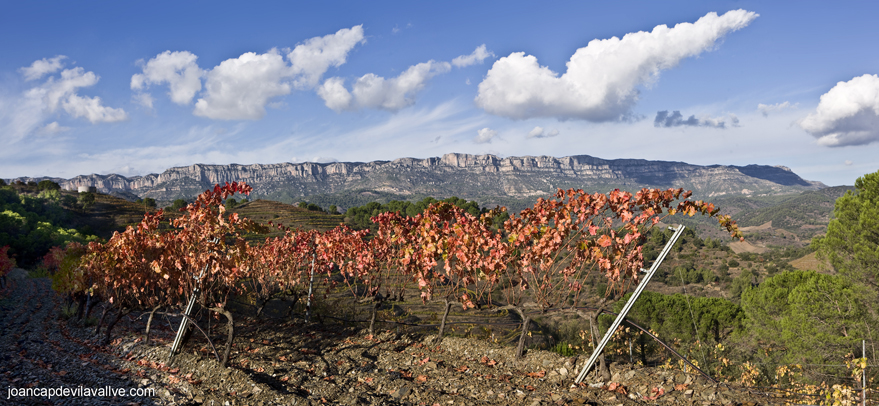 Vinyes Burgos Porta Poboleda Priorat