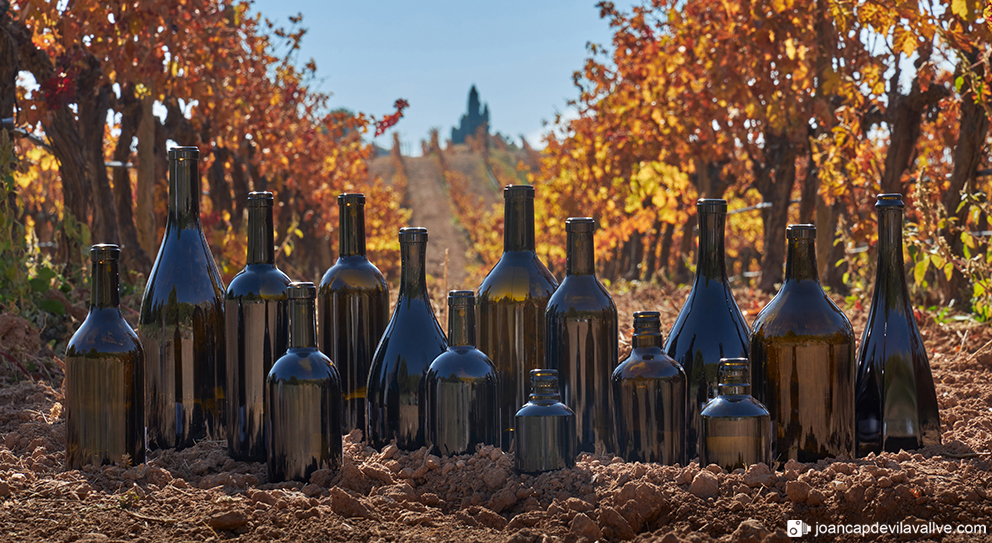 Bodegó d'ampolles 
Bodegó amb vinyes de tardor